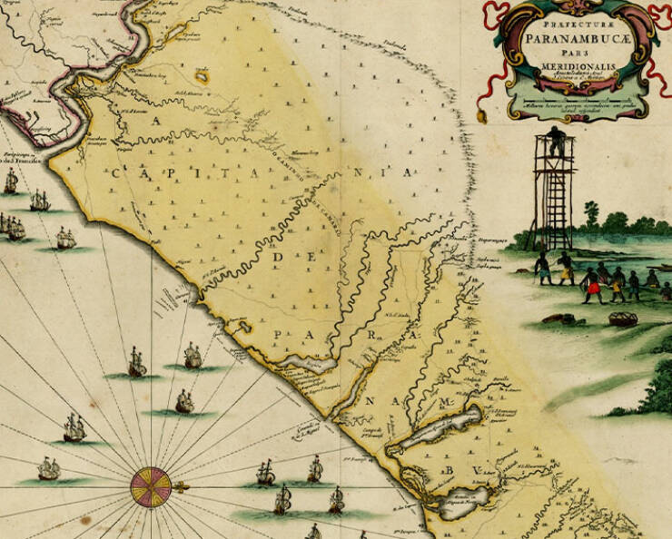 Fascinating ‘TIL’ Facts That Go from Strange To Amazing