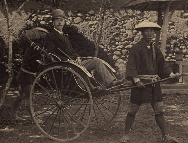 Fascinating ‘TIL’ Facts That Go from Strange To Amazing