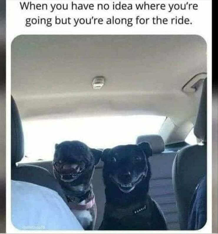 Funny Picdump