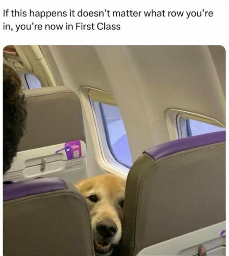 Funny Picdump