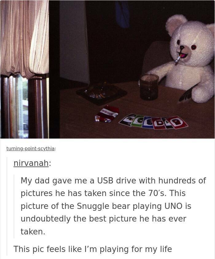 Hilarious Tumblr Posts That Never Get Old Hilarious Tumblr Posts That Never Get Old