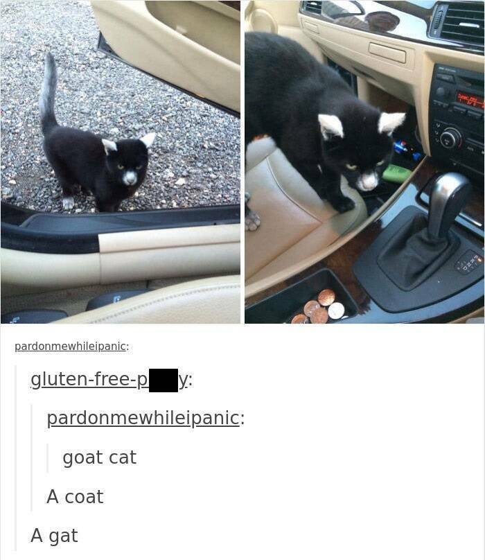 Hilarious Tumblr Posts That Never Get Old Hilarious Tumblr Posts That Never Get Old