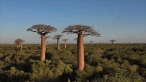 Surprising Facts You Probably Didn’t Know