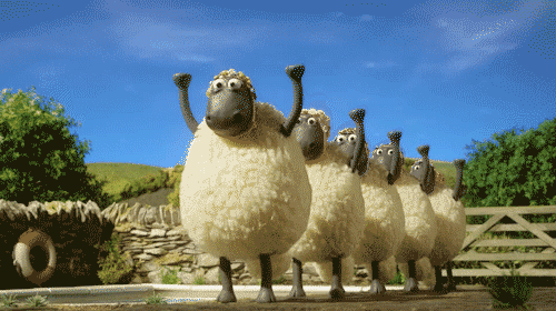 Surprising Facts You Probably Didn’t Know