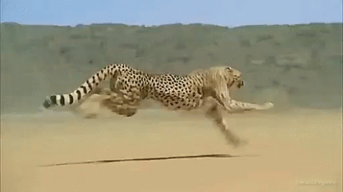 Surprising Facts You Probably Didn’t Know