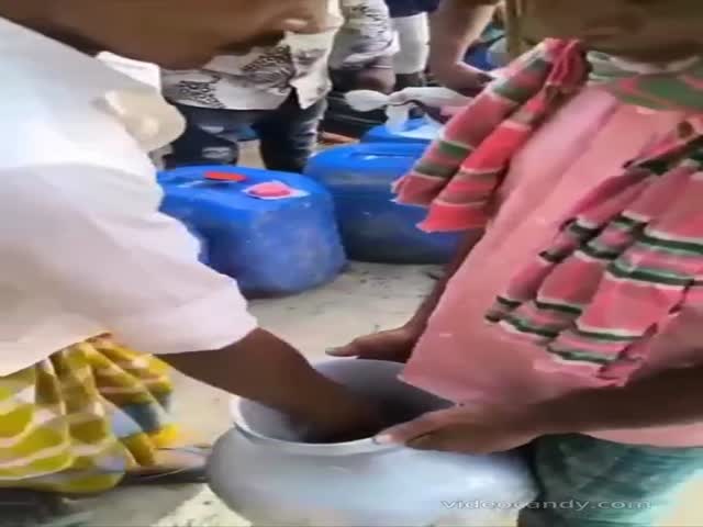 Checking Milk Quality In Bangladesh