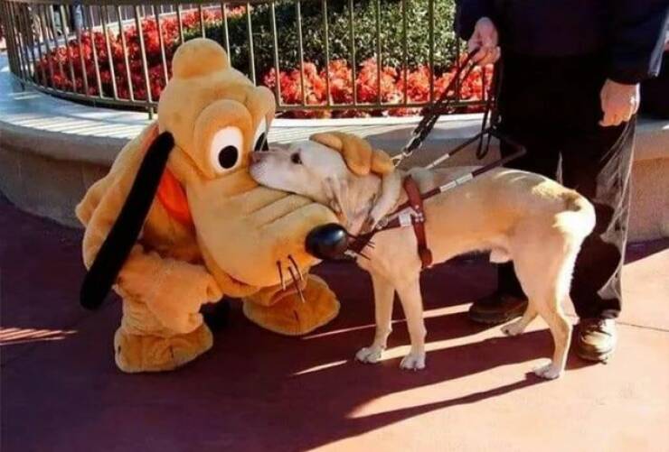 Daily Picdump