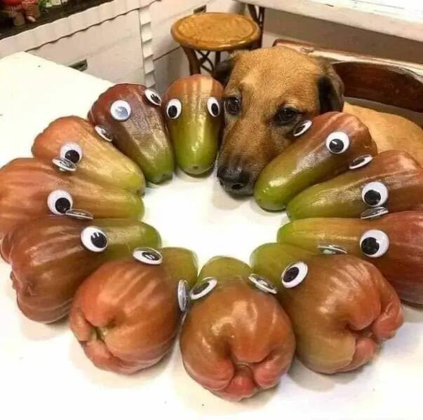 Daily Picdump