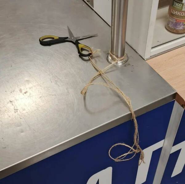 Daily Picdump