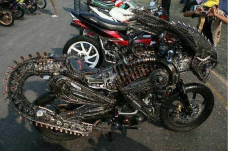 Daily Picdump