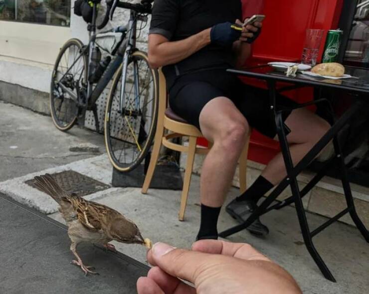 Daily Picdump