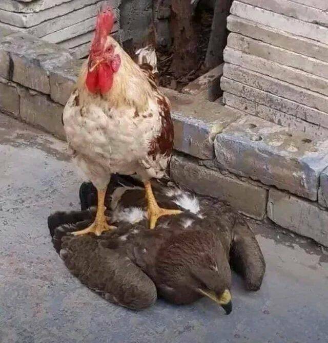 Daily Picdump
