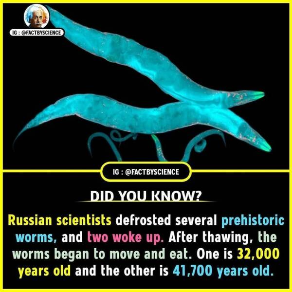 Mind-Blowing Facts You’ll Want To Share