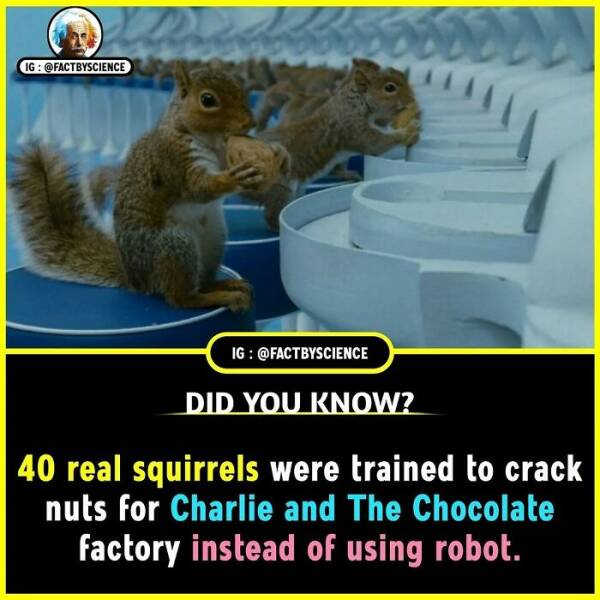 Mind-Blowing Facts You’ll Want To Share