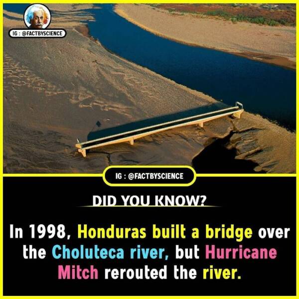 Mind-Blowing Facts You’ll Want To Share