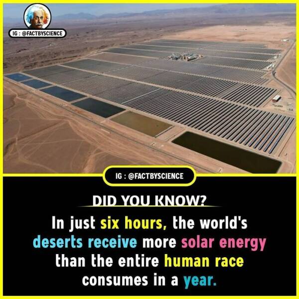 Mind-Blowing Facts You’ll Want To Share