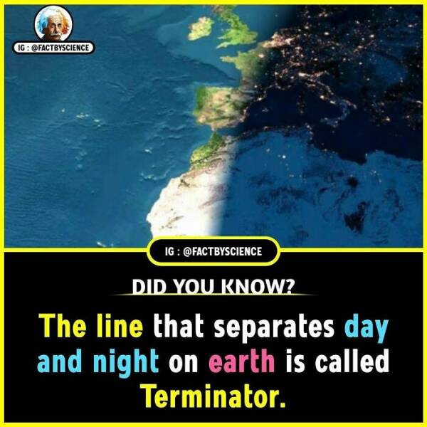 Mind-Blowing Facts You’ll Want To Share