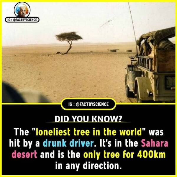 Mind-Blowing Facts You’ll Want To Share