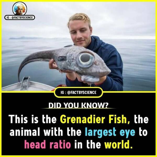 Mind-Blowing Facts You’ll Want To Share