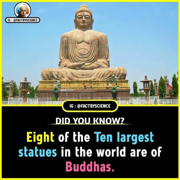 Mind-Blowing Facts You’ll Want To Share