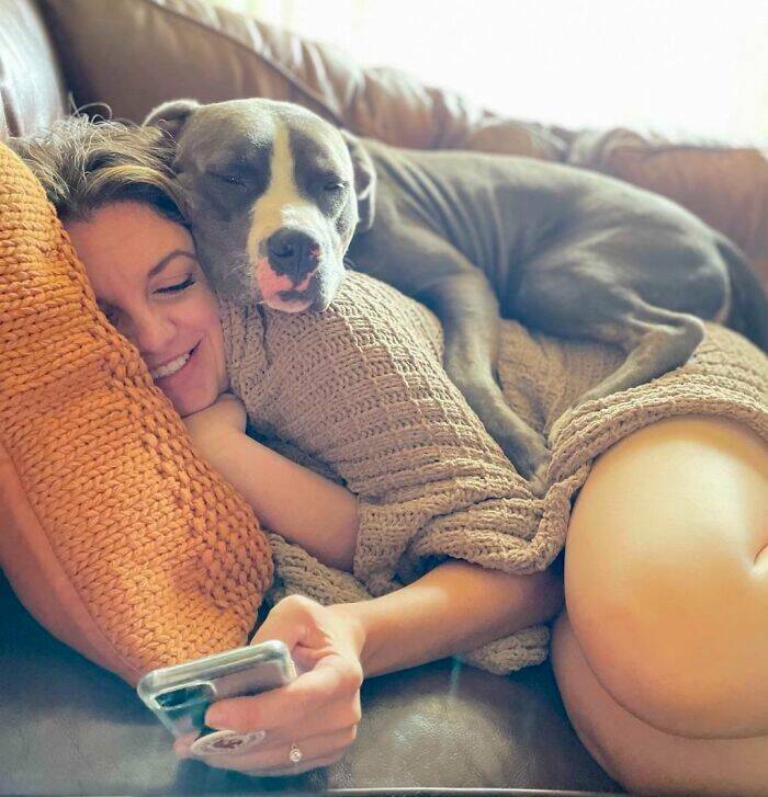 Pets Who Are Masters Of Invading Personal Space