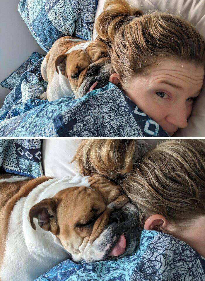 Pets Who Are Masters Of Invading Personal Space