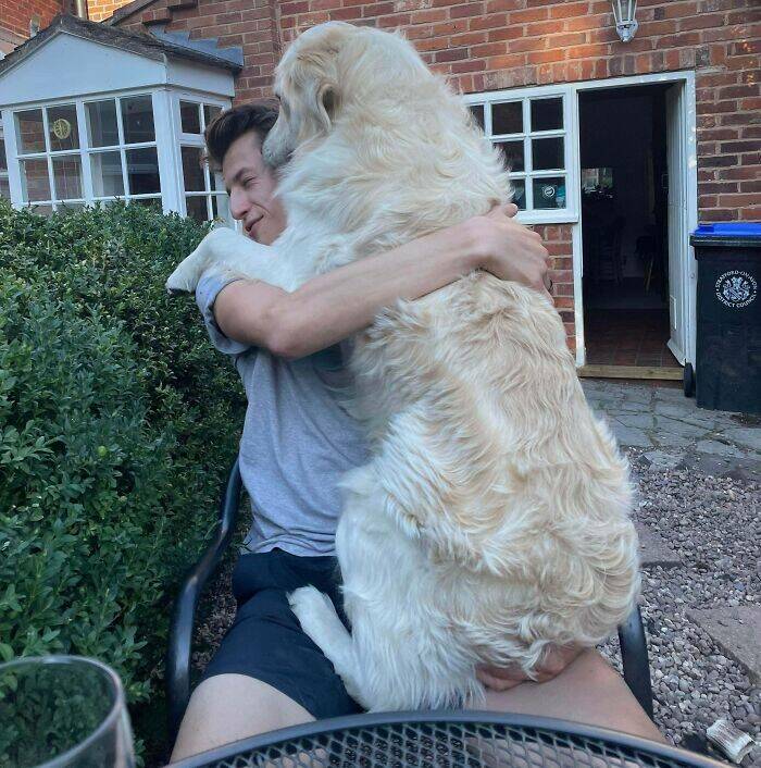 Pets Who Are Masters Of Invading Personal Space