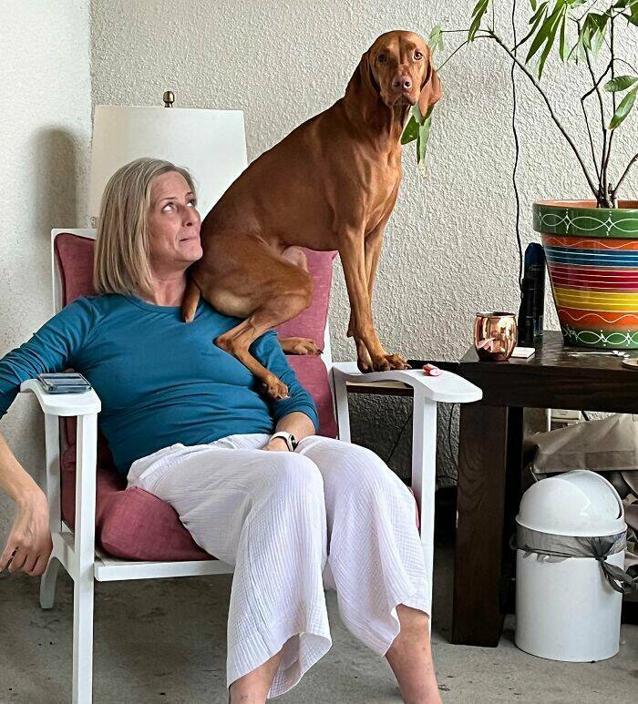 Pets Who Are Masters Of Invading Personal Space