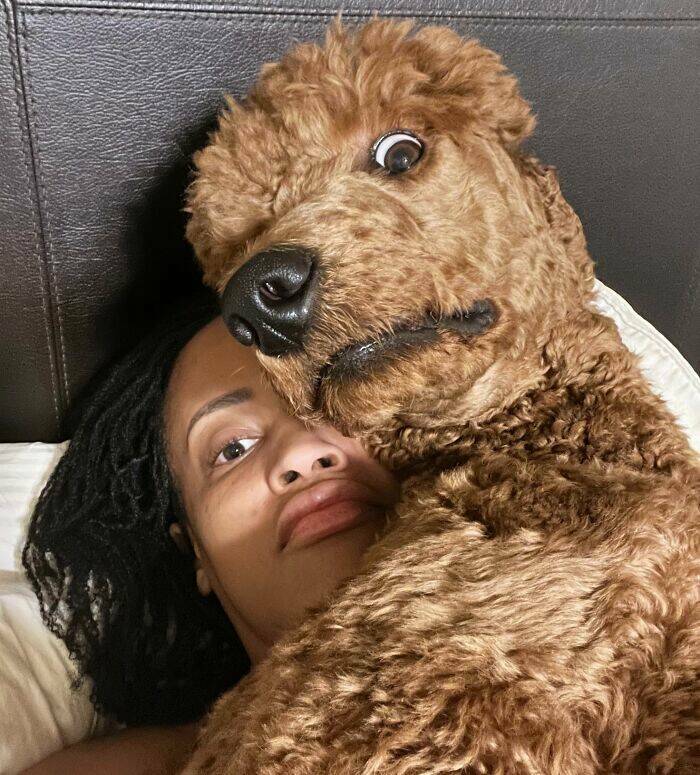 Pets Who Are Masters Of Invading Personal Space