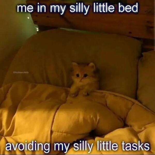 Purrfectly Funny Cat Memes & Pics That Show Their True Nature Purrfectly Funny Cat Memes & Pics That Show Their True Nature