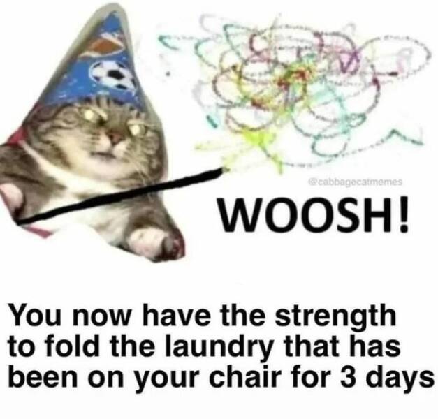Purrfectly Funny Cat Memes & Pics That Show Their True Nature Purrfectly Funny Cat Memes & Pics That Show Their True Nature