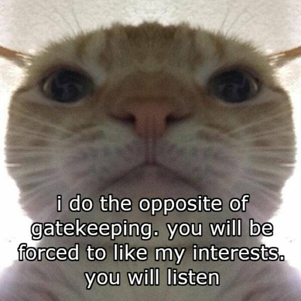 Purrfectly Funny Cat Memes & Pics That Show Their True Nature Purrfectly Funny Cat Memes & Pics That Show Their True Nature