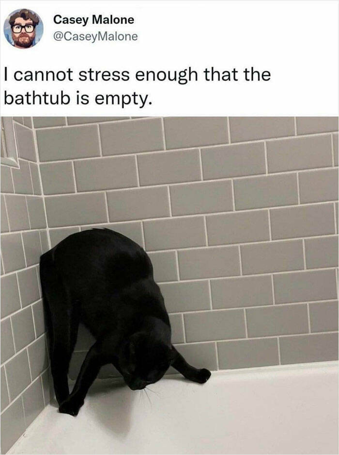 Purrfectly Funny Cat Memes & Pics That Show Their True Nature Purrfectly Funny Cat Memes & Pics That Show Their True Nature