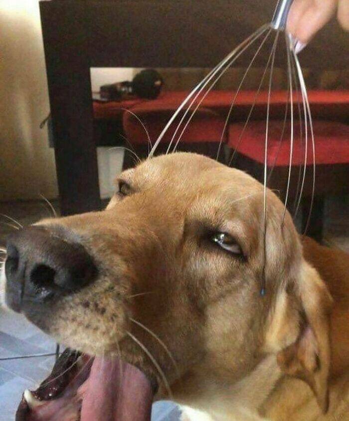 Unsettling Photos That Will Leave You Feeling Uneasy Unsettling Photos That Will Leave You Feeling Uneasy