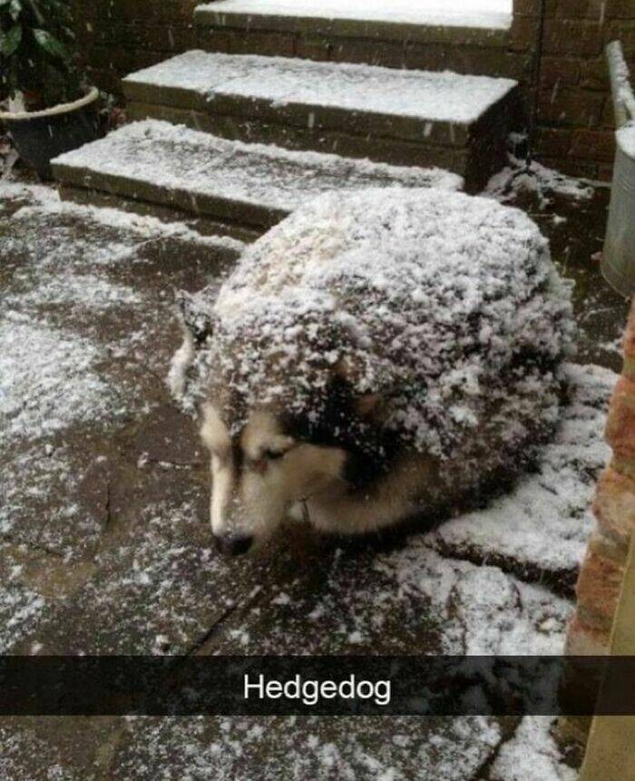 Unsettling Photos That Will Leave You Feeling Uneasy Unsettling Photos That Will Leave You Feeling Uneasy