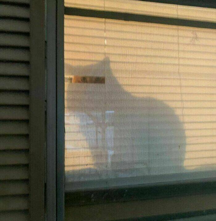 Unsettling Photos That Will Leave You Feeling Uneasy Unsettling Photos That Will Leave You Feeling Uneasy