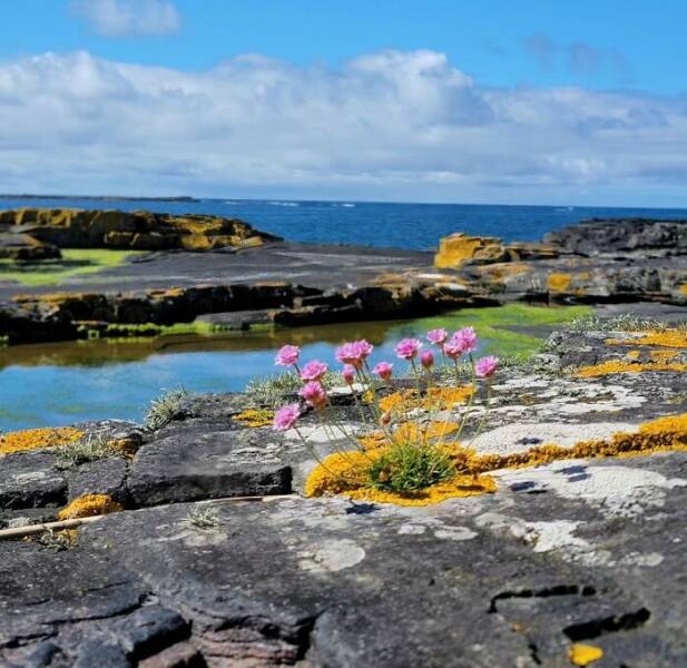 Unexpected Shoreline Discoveries That Will Surprise You