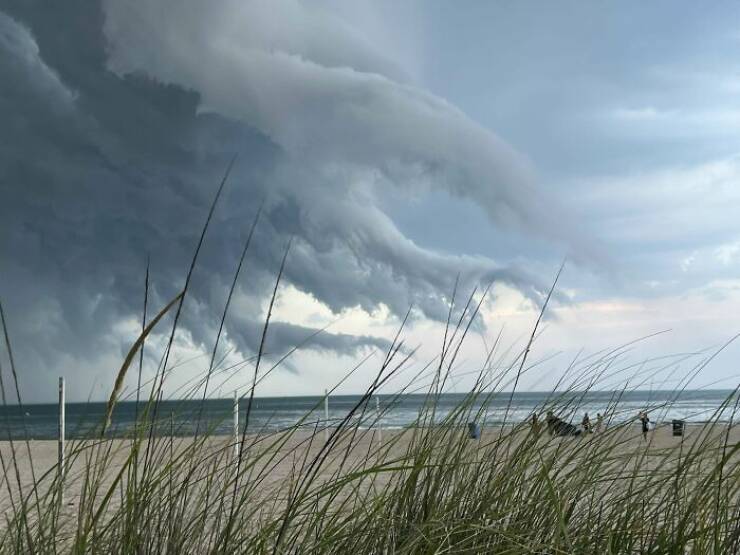 Unexpected Shoreline Discoveries That Will Surprise You