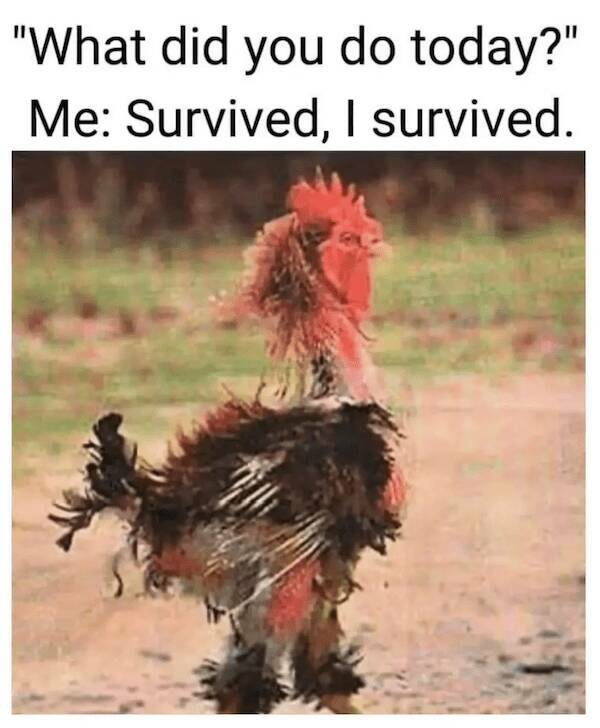 Relatable Anxiety Memes To Help You Laugh It Off