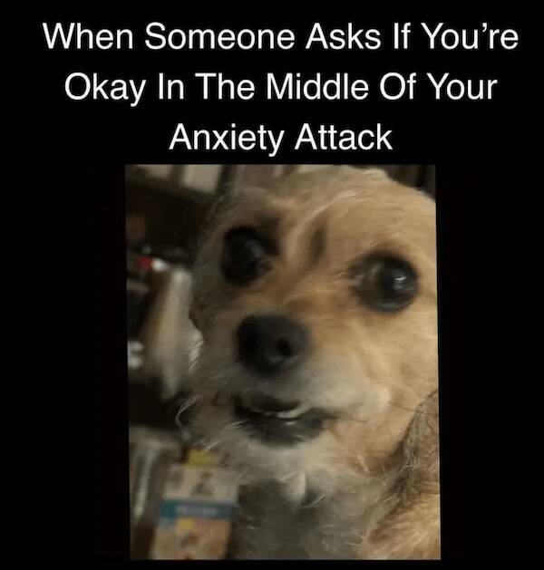 Relatable Anxiety Memes To Help You Laugh It Off