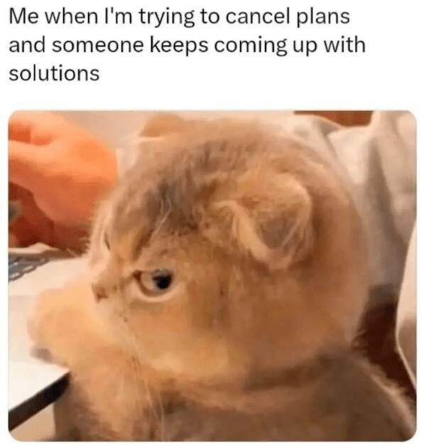 Relatable Anxiety Memes To Help You Laugh It Off