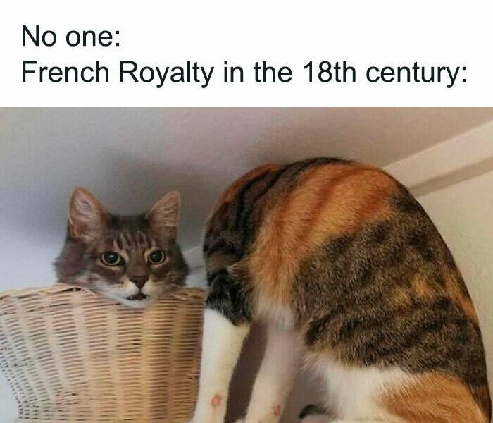 Hilarious History Memes That Make Learning Fun