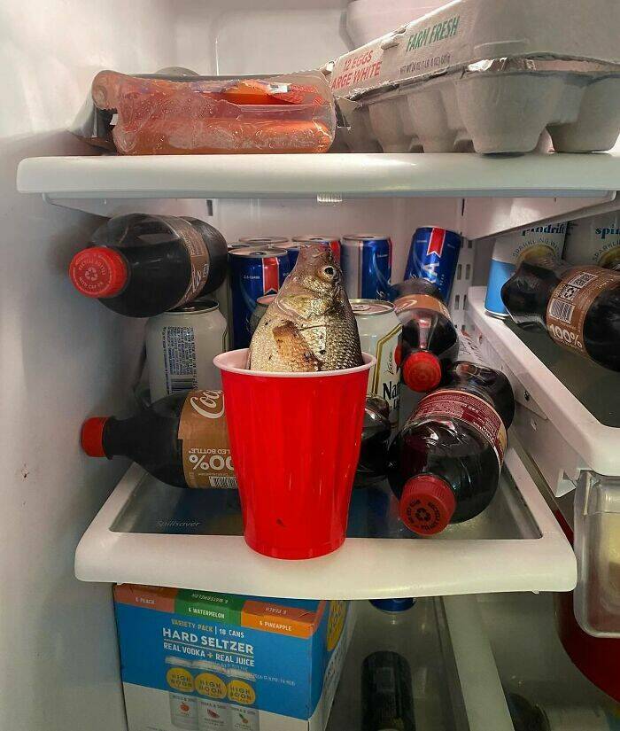 ‘Dude Fridges’ That’ll Leave You Questioning Everything