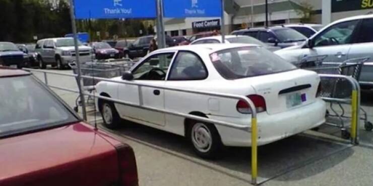 Hilarious Black Friday Fails That Capture The Chaos Of The Season