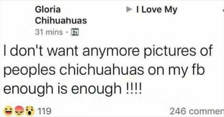 Seniors Vs. The Internet: Comedy Gold From Digital Missteps