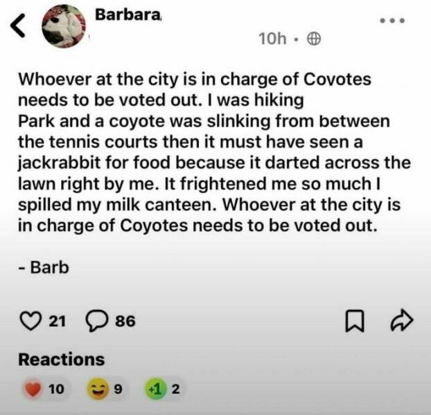 Seniors Vs. The Internet: Comedy Gold From Digital Missteps