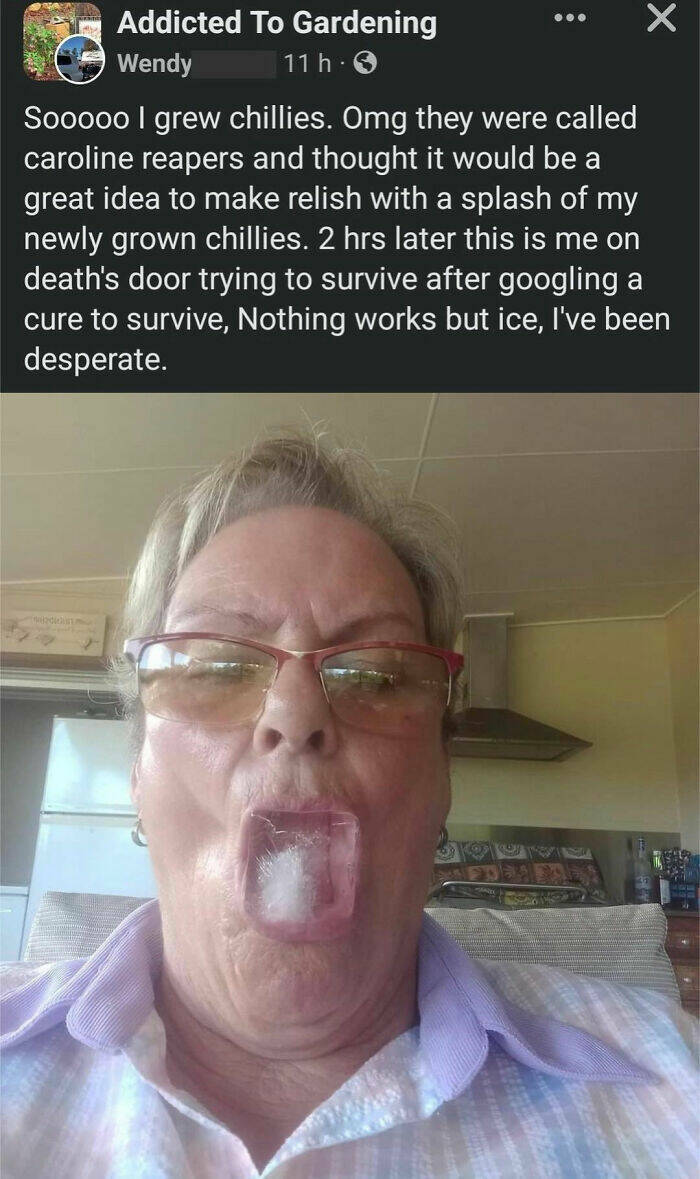 Seniors Vs. The Internet: Comedy Gold From Digital Missteps