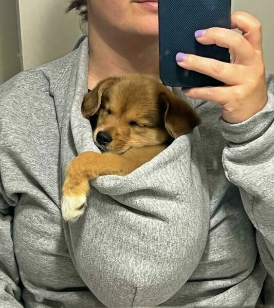 Adorable Pics That Feel Like A Hug For Your Soul