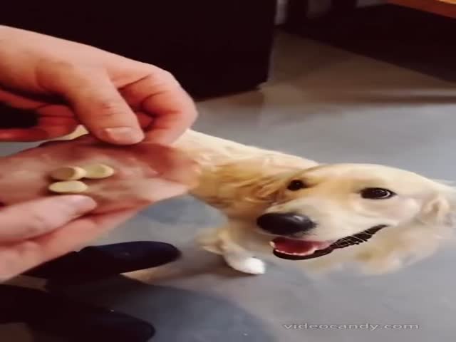 Does He Have A Filter In His Mouth?