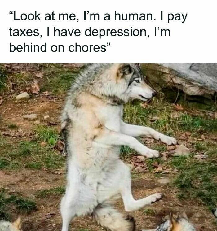 Relatable Memes About Millennial Life That Hit Too Close To Home